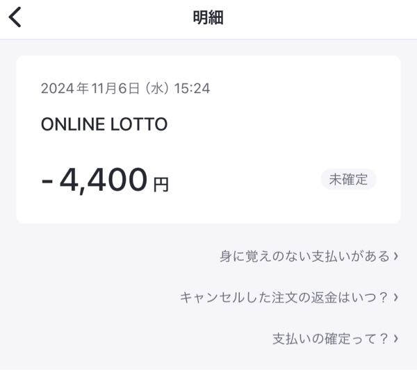 昨日バンドルでアイドルのオンラインくじをするために5000円チャージ(コンビニでしました)してそこからくじを購入したんですが、なぜか「未確定」になっています。これは大丈夫なんでしょうか？？ 過去にもくじでバンドルで支払ったんですが、その時は「未確定」じゃなくて「確定」と書いてあったんです。 これは-4,400円使ったよって意味ですか？それとも、-4,400円バンドルに支払ってください。ということでしょうか？；；