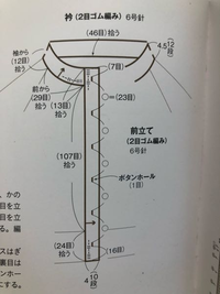 ラグランカーディガンを編んでます。
衿の拾い目の数についてですが、説明の通りだと、前から29目、袖から12目、後ろ46目とありますが、反対側も前から29目、袖から12目ってことでいいのでしょうか？ 後ろの伏せ目が39目で、実際拾い目をすると少なくなってしまいます。