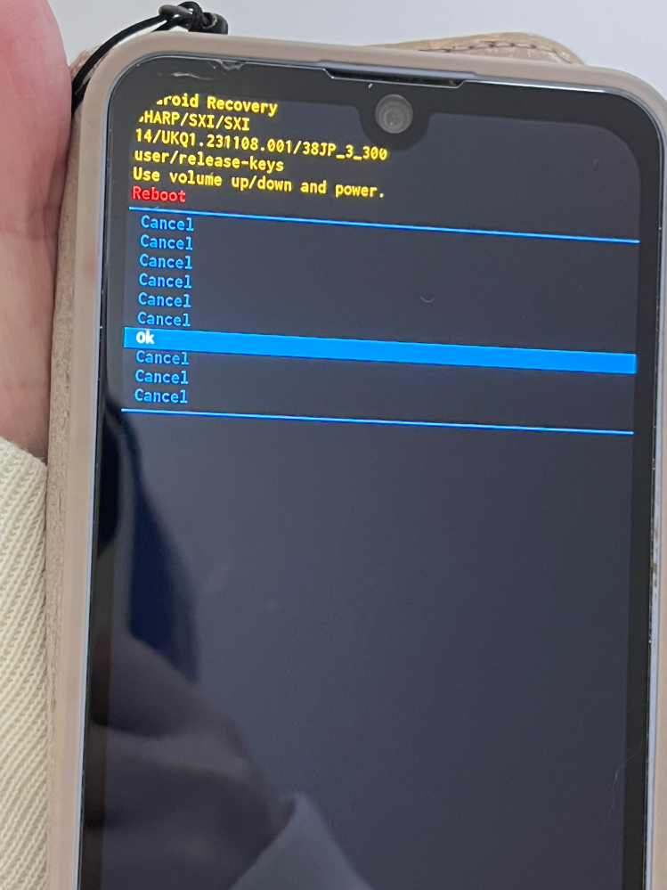 母のスマホ（Android）が開かなくなり、強制終了したらこの画面になり