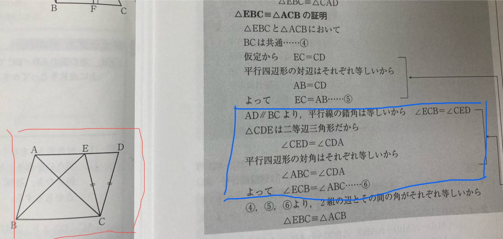 中2数学について質問です。 下の画像をみて質問に答えて頂きたいです。 赤色で囲った図は、△EBCと△ACBが合同であることを証明する問題の図で、右側に書いてあるのがその問題の答えなのですが、青色で囲ったところの角ECB=角CEDの横に⑥、 角CED=角CDAの横に⑦、角ABC=角CDAの横に⑧を書いたほうがいいんじゃないかと思いました。理由は、書かないと角ABC=角CDAだから角ECB=角ABCになる。となってしまい、おかしくなってしまうのと、横に数字を書いて、⑥、⑦、⑧から角ECB=角ABC にすれば角ECB=角CED、角CED=角CDA、 角ABC=角CDAだから、角ECB=角ABCになる。となっておかしくならないからです。 なぜ答えでは横に数字を書かないのですか？ わかりにくくて本当にすみません。 回答して頂けると嬉しいです。