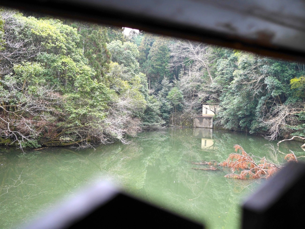 伏見稲荷神社についての質問です！ 伏見稲荷には谺ヶ池(新池)がありますよね？そこでずっーと気になってることがあって質問します。 熊鷹社をずっと進んで(？)いくと画像の建物を裏側から見ることができる山道があると思うんです。思う…というか自分はその道に実際、入っていきました。 沢山鳥居があったのに急に山道になるので入っちゃダメなとこかなとも思いましたがなんの注意書きもなかったので足を踏み入れてきました。 入ると外国の人が掘ったであろう文字が沢山入ってる竹林があったり画像の建物の裏を通っていけたりその先を進んでいくとどんどん山に入ってる感じがしました。 最初、外国人で観光だろうなという二人組が進んでいたのが見えたので自分はあの人たちが進んでるなら行けるのだろうと思って進んでいたのですが途中で一緒に着いてきていた母親が「そんな人たち見えなかった」と言われ少し寒気が。 伏見稲荷は不思議な場所、稲荷山は観光者が軽装できて良い場所じゃないとネットでも調べていたので少し怖くなり途中で引き返しました。無事戻れて帰路に着いたのですがあの道はなんだったのか未だに謎です。あの先を進むとどこに着くのか、あの道は何のための道なのか、そもそも観光者が入って良い場所だったのか誰か知っている方はいらっしゃいますでしょうか？有識者の方回答宜しくお願いします。