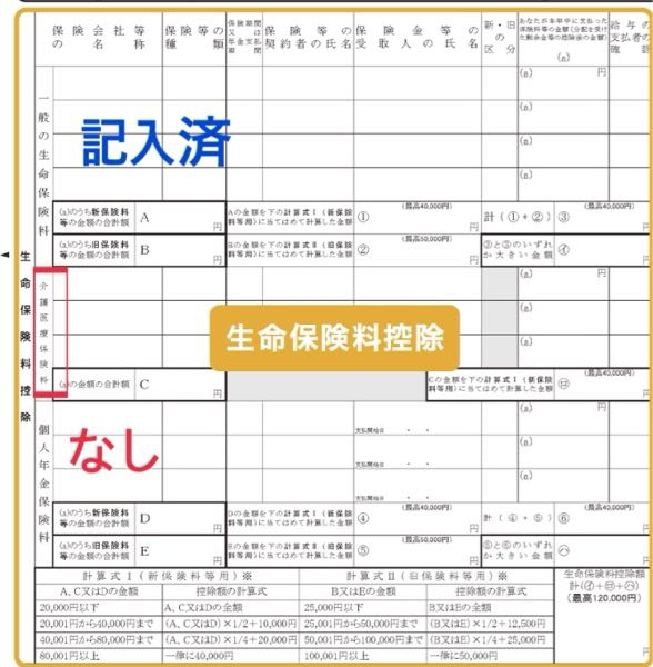 年末調整について質問です。今、生命保険控除の紙を記入しています。 20代なのですが、介護医療保険料は空白で上の一般の生命保険料というところだけ記入すればよいでしょうか。