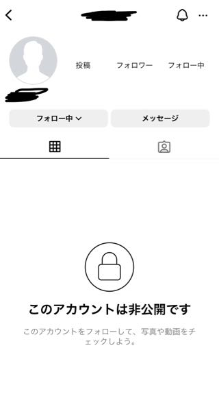 至急お願いします！ さっきとある人のインスタのプロフィールをDM経由で開いたのですが、このような状態になっていました。 これってブロックされていますか？ 黒く塗ってあるところはユーザのIDと名前です。 投稿、フォロワー数、フォロー数が見れなくなっていました。