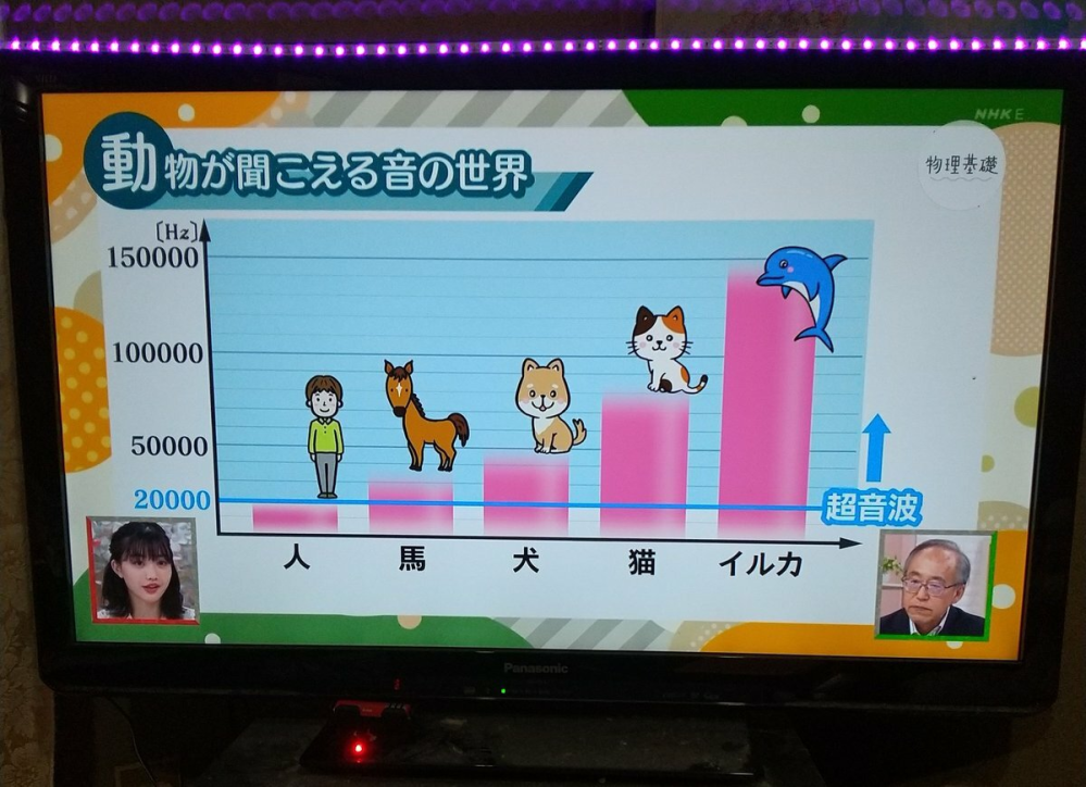 NHK高校講座 物理基礎 動物が聞こえる音の世界 イルカは150kHz コウモリは仲間はずれ！ 昆虫も枠外 触覚の神経細胞は300kHzだったっけ？