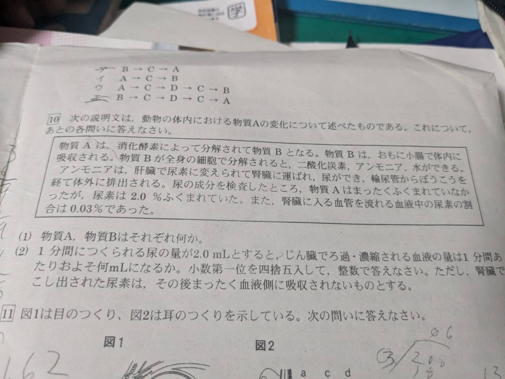 中2の理科の問題です 親子ともにお手上げです