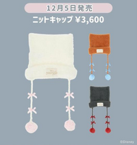 ディズニーについてこの画像のニットキャップを買いたいのですが、22日 