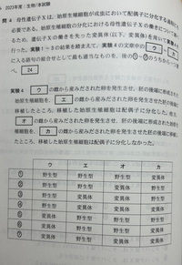 至急です！！
なぜ エとカ が野生になるのかがわかりません。
解答よろしくお願いします。 