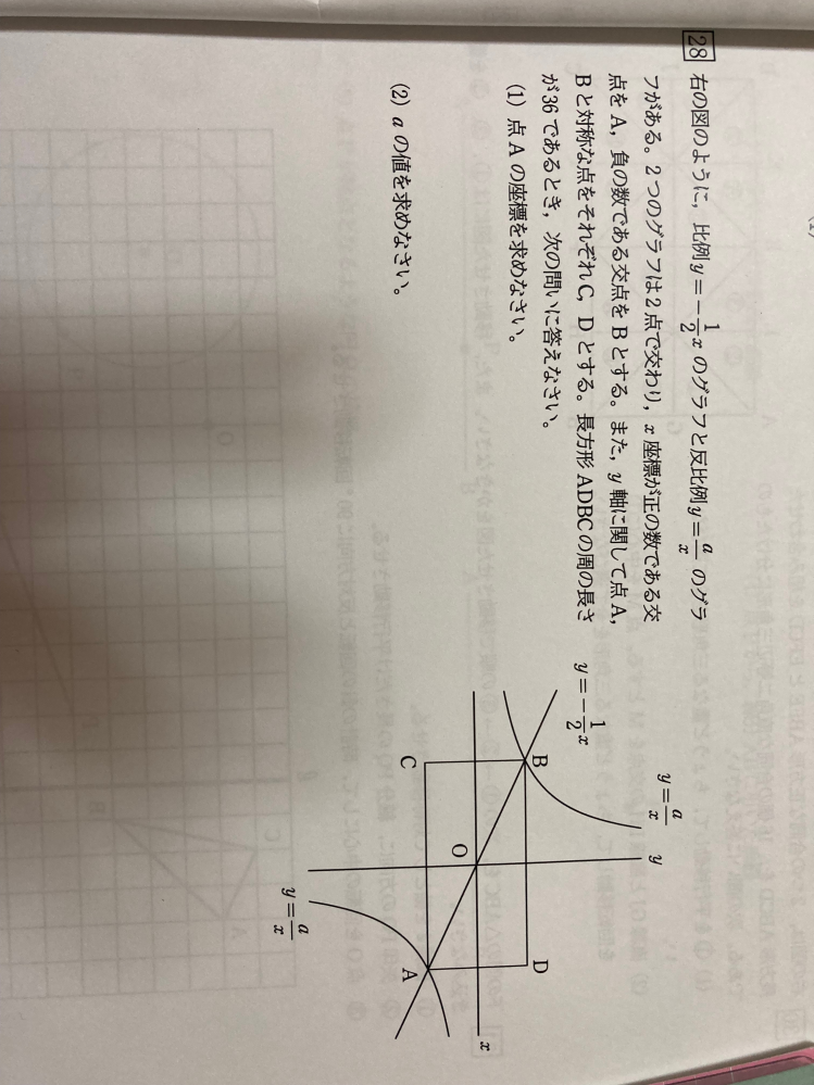 解説お願いします！