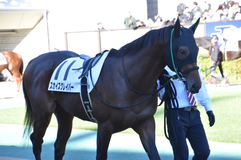 スカイスクレイパーという馬名は1789年のエプソムダービー優勝馬なので以前は保護名だったと思いますけど、いつ解除されたのですか？