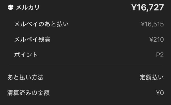 メルカリでよく分からないままメルペイ定額払いを申し込みしてしまいました(；；) 請求額は約17,000なのですが、今月末に17,000払う設定にしていれば、12月以降は少額で済みますでしょうか(；；)