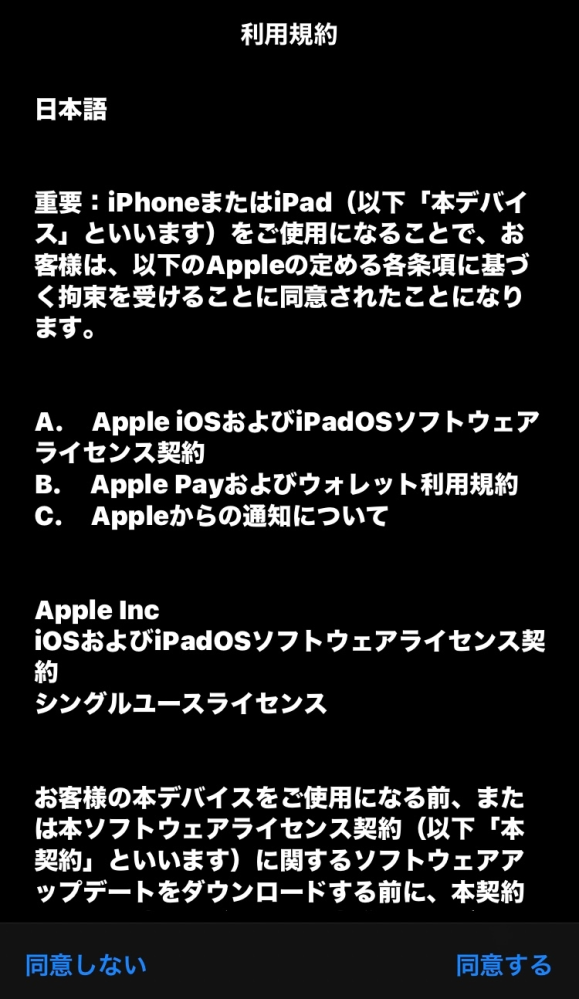 IOS18.1.1にアップデートしようとしたらこの画面が出てきたのですが、これは全員出るものなのでしょうか？