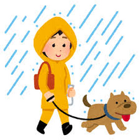 雨の日も犬の散歩に出かけますか？ 