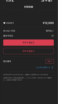 ちるる　他の方購入しないでください メルカリでコメントしたのですが、他の方の商品が欲しいです