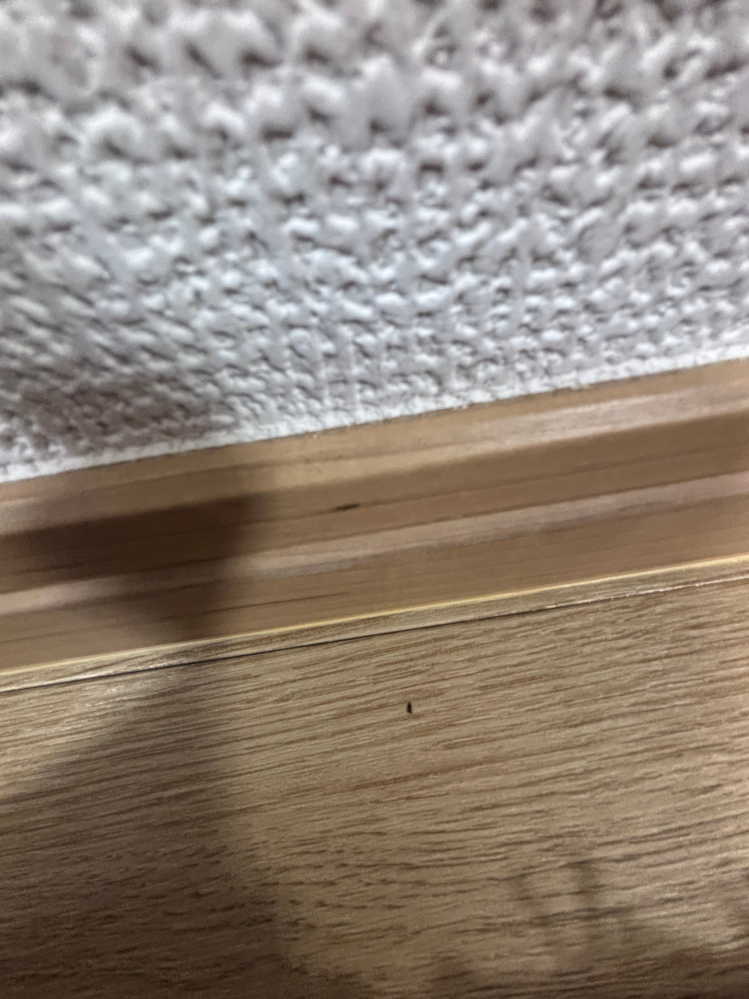 先日、内装屋さんにフローリングの上からフロアタイルの重ね貼りをして 