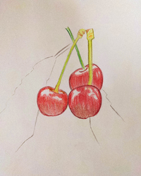 色鉛筆でさくらんぼを描きました！感想、評価など、よろしく
