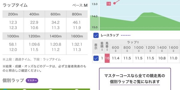 ネット競馬のラップタイムとレースラップの違いを教えてください。