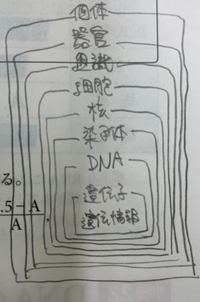 生物ってこういうことですか？ 