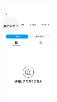 インスタのアカウント表示について質問です！
フォローやフォロワーの数が表示されないのですが、ブロックされている訳ではないのでしょうか？ ちなみにこのアカウントをフォローしていましたが見たら外れていました。フォロワーから外されるとこのような表示になるのでしょうか？