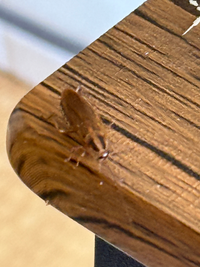 いつも◯◯にご理解とご協力いただきありがとうございます。↑の