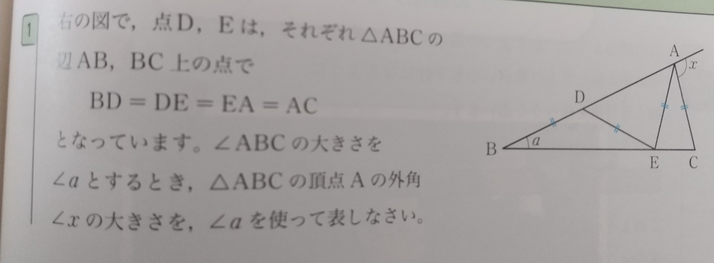 中2 三角形/四角形 解説をお願いします。