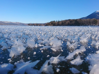 【北海道 釧路 阿寒湖】阿寒湖の写真です。
氷の上にあるのは雪ですか？氷ですか？霜柱、ですか？

どうしてこうなるのかわかる方いらっしゃったら教えてください 