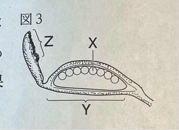 X、Y、Zそれぞれなんですか？