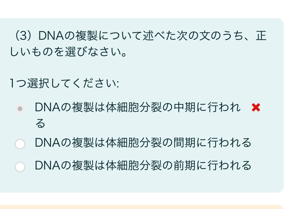 DNAの複製について、問題の答えを教えてください