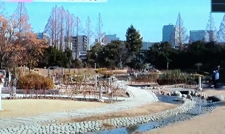 大阪の夕方にテレビを見ていると、添付写真のような公園が映ってました。恐らく、大阪近郊の公園だと思うのですが、どこの公園でしょうか？