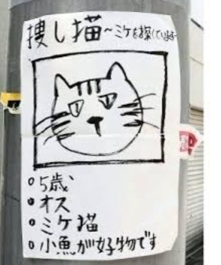 (大喜利帝国) 画像に何か言ってあげてください。