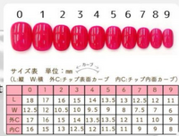 ネイルチップのサイズについてです。ネイルチップをオーダー