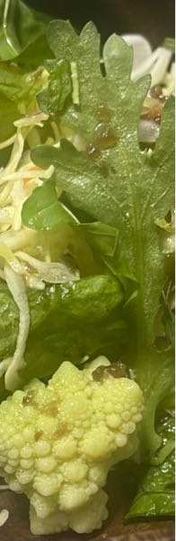 このヨモギみたいな形の植物(野菜)はなんですか？サラダに入ってました。