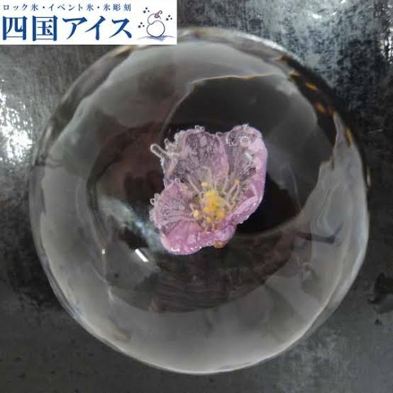 四国アイスの季節の丸氷(桜の花が入った家飲み用の氷)を買ったのですが、飲み物用の氷として販売されている以上、とけ出た桜の花を食べてしまっても問題ないのでしょうか？