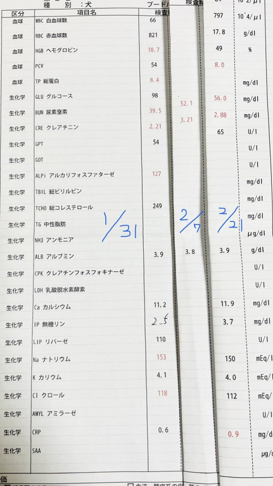 nfk様 はじめまして。 愛犬の病気についてご意見頂きたく、突然のご指名で申し訳ございません。 どうかお力添えいただけましたら幸いです。 また、他にも詳しい回答者様がいらっしゃいましたらお答えいただければ大変助かります。 14歳、8.5キロのトイプードルです。 ○既往、現病歴 ・肺腫瘍 2023年4月、肺腺癌により右後葉摘出。 腫瘍は取り切れましたが、細胞レベルでの転移の可能性もあるということでその後6ヶ月間の抗がん剤治療。 2024年10月のレントゲンでうっすら肺あたりに何か見えるが、写り方の問題でそう見えるだけかも、とのことだったので経過観察でしたが、今日の検査で明らかにはっきり見える、少し大きくなっているとのことでした。 ・僧帽弁閉鎖不全症 2023年から心雑音があり、現在までステージB1です。 ・慢性腎不全 昨年10月末の血液検査では異常は無かったのですが、今年1月から多飲多尿の症状があり、慢性腎不全との診断を受けました。 具体的な数値につきましては、画像を添付いたします。（1/31→2/7→2/21の順） また、SDMA検査については主治医は懐疑的らしく、今のところは受けていません。 ○フード、サプリ（1日量） ・ZEN プレミアムドッグフード ベニソン アダルト&シニア 130g →ロイヤルカナン腎臓サポートセレクションと半量ずつに切り替えようとしています。 ・モエギキャップ 1錠 朝 ・M&KのHG EVO 1.5錠 朝晩半量ずつ ・レスベラトロール+長命草 1錠 朝晩半量ずつ ・アラプラスゴールド 2錠 朝晩半量ずつ ・桑葉つぶ 10錠 朝晩半量ずつ →桑葉つぶは下痢の原因になっている可能性があり、現在は与えていません。 ○薬 ・クレメジン200mg 1日2回 1カプセルずつ ・テルミサルタン20mg 1日1回 1/2錠 上記について何か気になる点、追加した方が良い物等あればご教示いただきたいです。 また、今日の検査で肺腫瘍のようなものが写った件について、詳しく検査するべきか悩んでいます。年齢や他の持病のこともあり、悪性腫瘍だと分かったところで手術できるかも分かりませんし、手術自体もかなりの負担になります。 主治医からは、全身麻酔での検査自体負担になるのでおすすめはしないと言われました。 このまま放置して腫瘍が広がるのが先か、腎不全の悪化が先か。何かできることはないのでしょうか。 長々と大変失礼いたしました。 お時間ある時に可能な範囲でお答えいただければ幸いです。 どうぞよろしくお願いいたします。