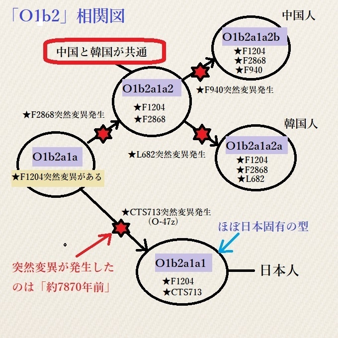 最近の「遺伝学」の進歩はめざましく、「人類集団」がどのルートを通って日本列島に渡来したかわかりつつあります、 しかし「遺伝学（Ｙ染色体ハプログループ）」で見た場合、「朝鮮半島」の住民が「日本列島...