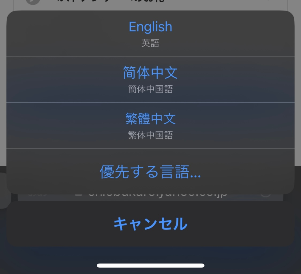 Safariの翻訳機能についてです。 英語のサイトを日本語にしたいのですが、翻訳に日本語が出てきません。試しにいろんな言語入れてみたりもしました。優先する言語を英語などに変えてみたりもしました。 ios.17.4.1です。 わかる方いらっしゃいましたらご回答お願い致します。