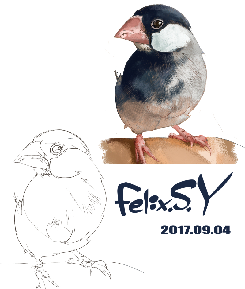 ★おはようごじゃいマシユマロ！ 鳥類カテのみなシャン！ ボクは小学生でしゅ。 寒い木曜日の朝の５分ラクガキ絵でしゅ。何を描いたか、分かりマシュかああ？