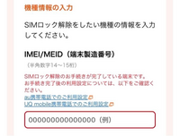 SIMロック解除について教えてください。 - iPhone端末の確認画面