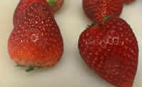 至急です！このいちごは腐っていますか？ 
