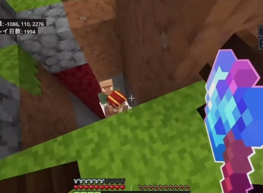 マイクラについて質問です。このテクスチャが何か知っている方教えてほしいです。