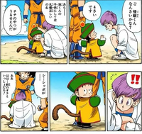 チチ（ドラゴンボール） - ナムウィキ