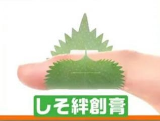 「しそ絆創膏」はクリスマスカラーですか。