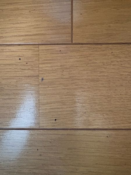 部屋に写真のような黒い点がこびり付いているんですけど、これはなんですか？またどうしたら取れますか？