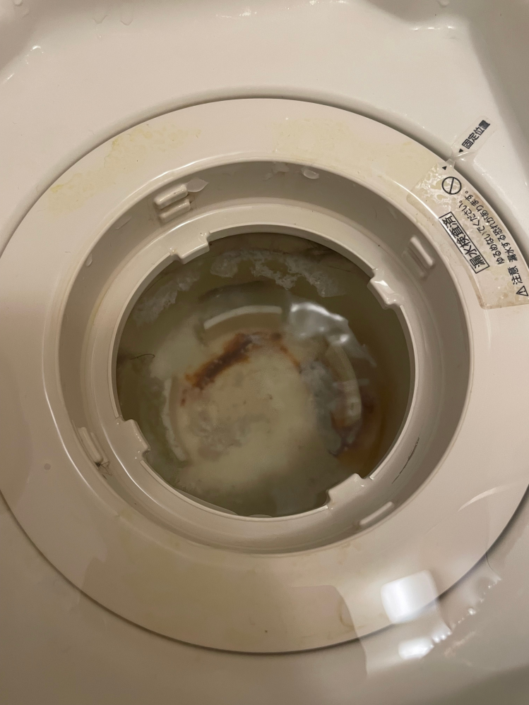 お風呂の排水溝掃除についてです。 一人暮らしを始めてからお風呂場の排水溝掃除をしていなかったのでしようと思い蓋を開けてキャッチャーなどを外したのですが、水が溜まるタイプの排水溝でした。 写真にある通り水のところに白っぽいヘドロ？みたいなのが浮かんでいて臭います。 これはどのように掃除するのが正解なのでしょうか？専用の洗剤などを使用するのですか？