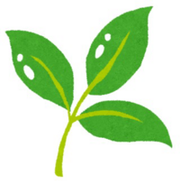 皆さん新緑は好きですか？
