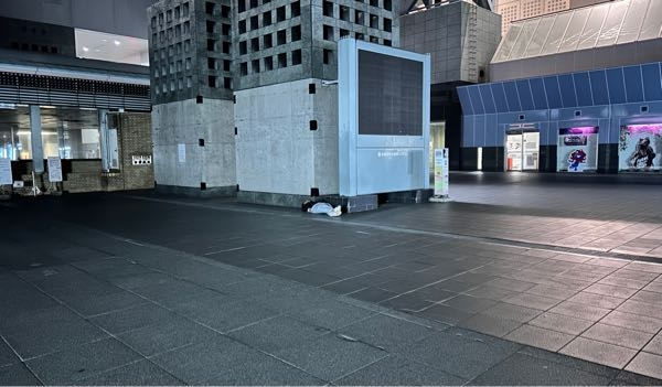 京都駅に家が近いため、京都周辺を散歩していたら寝ている観光客が結構いました。 高速なフリーWiFiも多く飛んでいてかなりコスパいいなと思いました。 みなさんはどう思いますか？