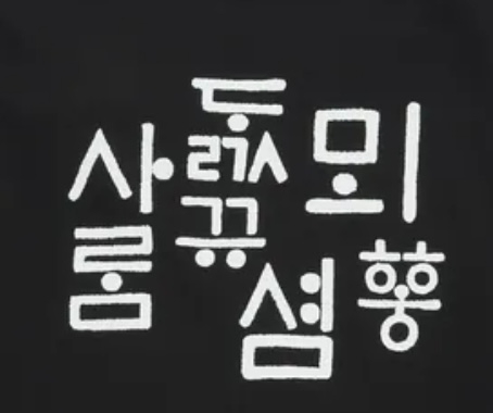 韓国のノースフェイスのTシャツなのですが、韓国語でなんて書いてあるか分かりますか？ 翻訳機能が使えませんでした