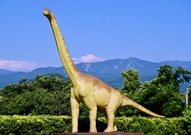 【大喜利ネタ】友人の様子見て、この人、GW後半に行く観光地迷ってるなぁ？ 何故そう思った？ ※画像はイメージです。