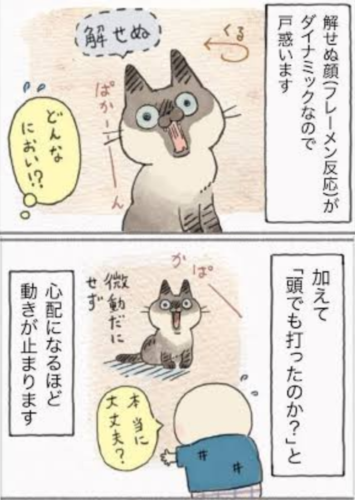 着信通知で、使った事がない 就労継続支援B型事業所のFAX番号(？)から スマホに電話があった様です 私は半年、病院にもいけてません… 支援事務所に予定も入れてないはずですが . B型事業所からじゃなく ネット回線セールスとかの 会員募集電話でしょうか？ (「お使いの 光ネット回線がお安くなりますよ♪」とかの) . こちらから電話を かけ直した方がいいですか？ 2度目のコールが来るまで様子見して 無視した方がいいですか？