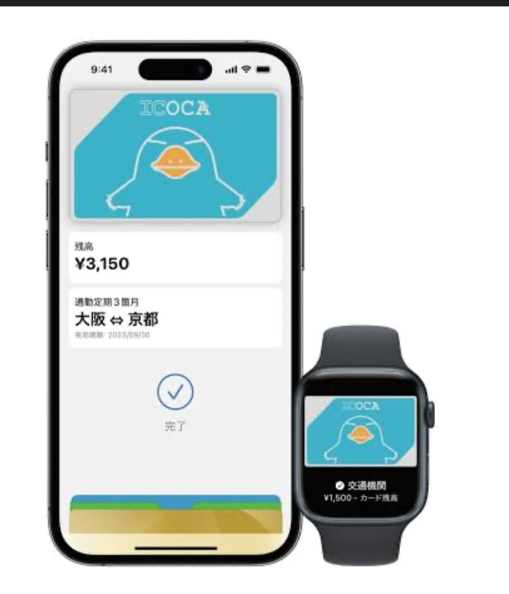 ウォレットにICOCAを入れたのですが、もうカードは使えないですかね？こんなかんじで定期の範囲が記載されていなくて不安です