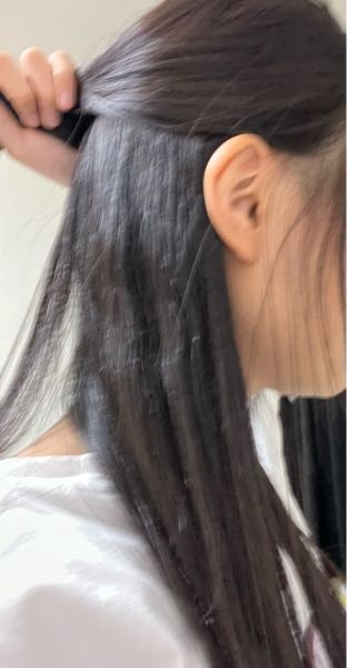 至急！3日前に縮毛矯正をしたのですが、画像の通り根元のくせが少し戻ってきています。失敗されたのでしょうか？